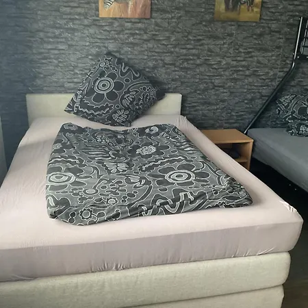 Апартаменты Ferienwohnung-bayrisch-nizza *